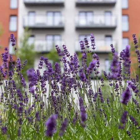 Apartment Salsa Pet-friendly By Renters