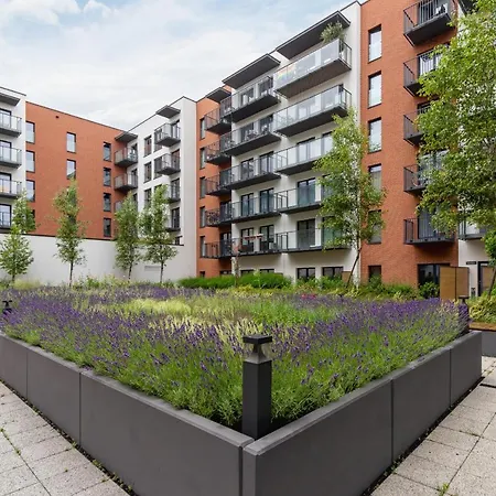 Salsa Pet-friendly By Renters *