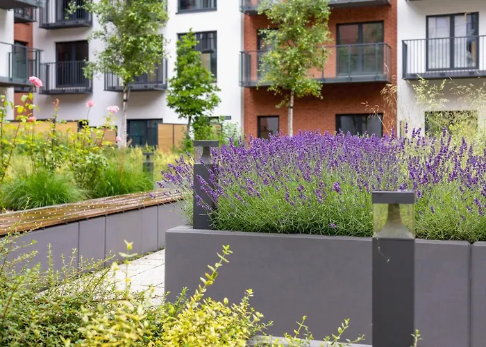 Salsa Pet-friendly By Renters