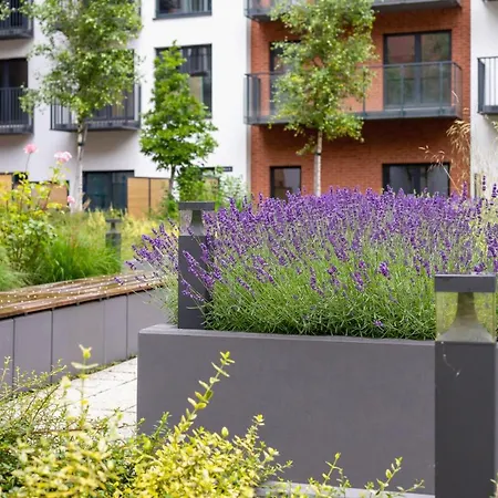 Salsa Pet-friendly By Renters